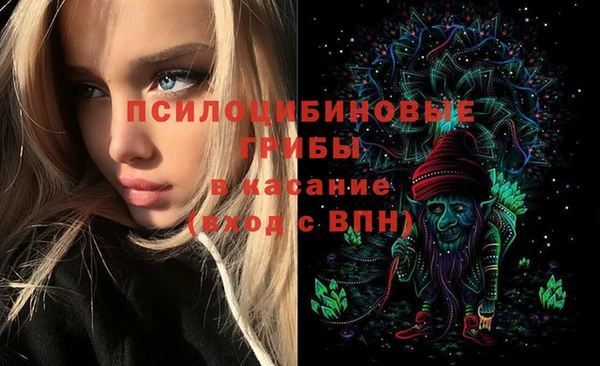 шишки Снежногорск