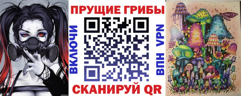 Галлюциногенные грибы мицелий  гидра как зайти  Вязьма 